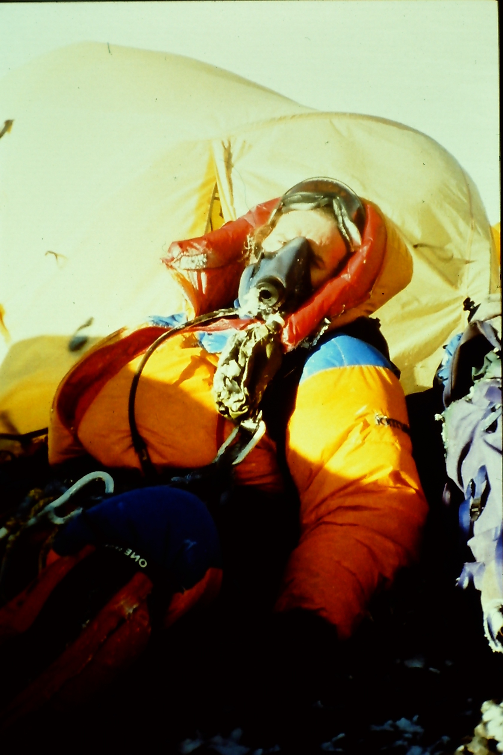 My beautiful picture