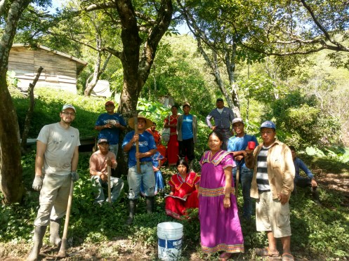 Josh Donegan la jornada pic